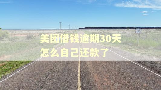 美团借钱逾期30天怎么自己还款了