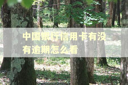 中国银行信用卡有没有逾期怎么看