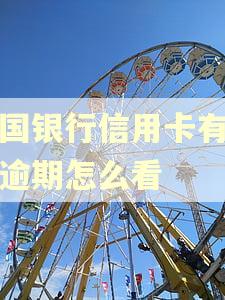 中国银行信用卡有没有逾期怎么看
