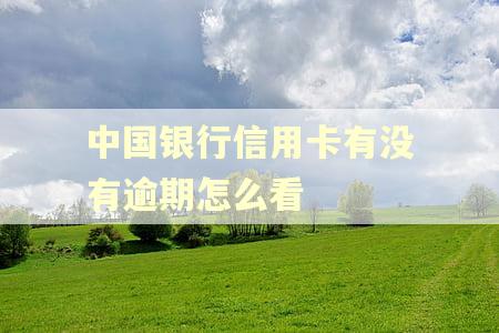 中国银行信用卡有没有逾期怎么看