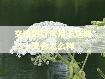 交通银行信用卡逾期二十天会怎么样 交通银行信用卡逾期二十天会怎么样