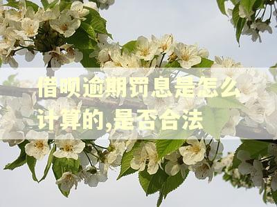 借呗逾期罚息是怎么计算的,是否合法