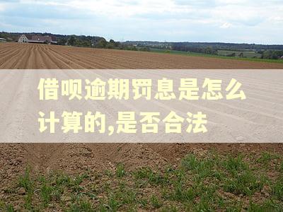 借呗逾期罚息是怎么计算的,是否合法
