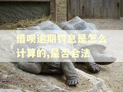 借呗逾期罚息是怎么计算的,是否合法