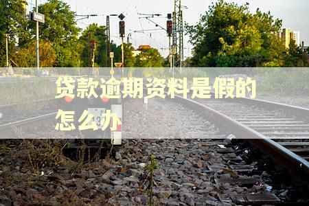 贷款逾期资料是假的怎么办