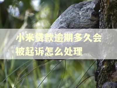 小米贷款逾期多久会被起诉怎么处理