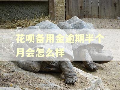 花呗备用金逾期半个月会怎么样