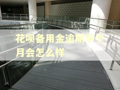 花呗备用金逾期半个月会怎么样