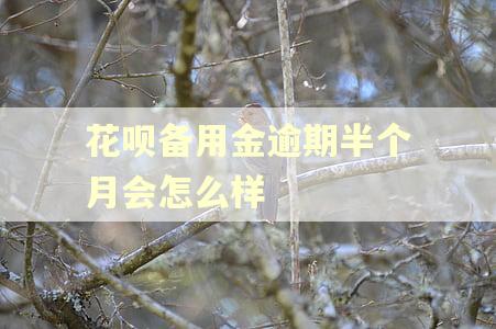 花呗备用金逾期半个月会怎么样