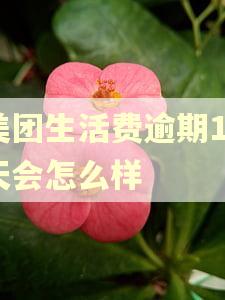 美团生活费逾期10天会怎么样 美团生活费逾期10天会怎么样