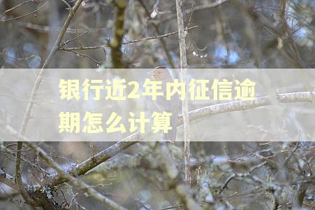 银行近2年内征信逾期怎么计算