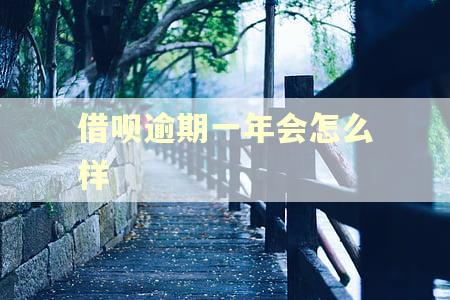 借呗逾期一年会怎么样