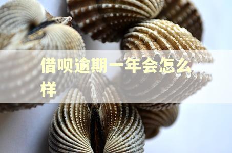 借呗逾期一年会怎么样