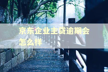京东企业主贷逾期会怎么样