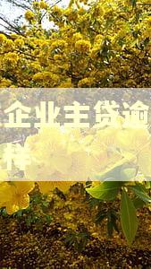 京东企业主贷逾期会怎么样
