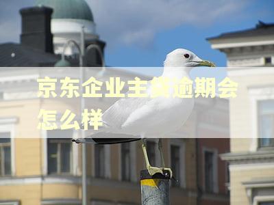 京东企业主贷逾期会怎么样
