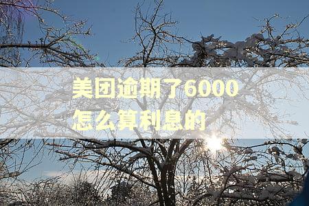 美团逾期了6000怎么算利息的