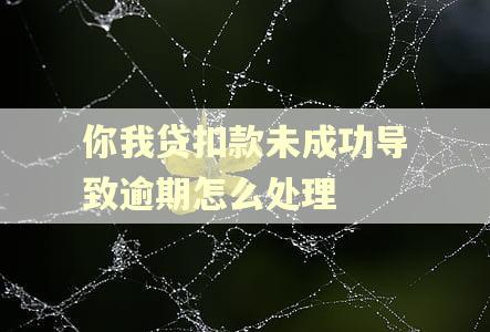 你我贷扣款未成功导致逾期怎么处理