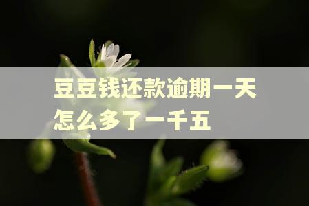 豆豆钱还款逾期一天怎么多了一千五