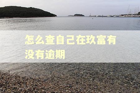 怎么查自己在玖富有没有逾期