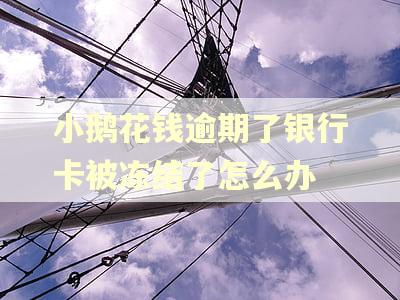 小鹅花钱逾期了银行卡被冻结了怎么办