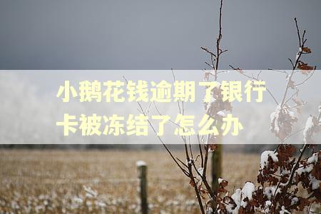 小鹅花钱逾期了银行卡被冻结了怎么办 小鹅花钱逾期了银行卡被冻结了怎么办