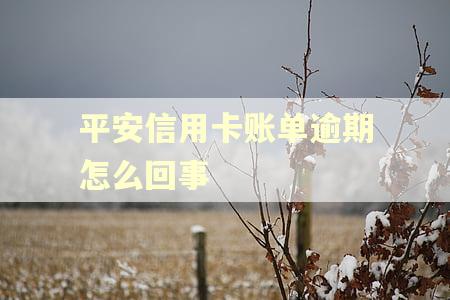 平安信用卡账单逾期怎么回事