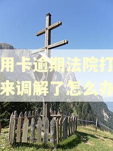 信用卡逾期法院打电话来调解了怎么办