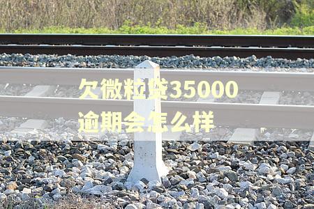 欠微粒贷35000逾期会怎么样
