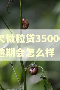 欠微粒贷35000逾期会怎么样