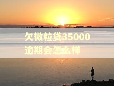 欠微粒贷35000逾期会怎么样