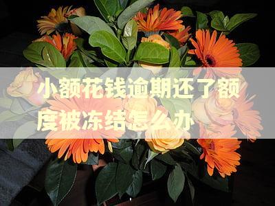 小额花钱逾期还了额度被冻结怎么办