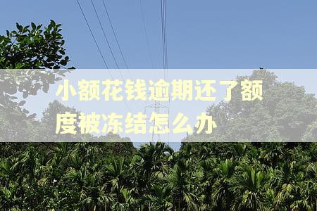小额花钱逾期还了额度被冻结怎么办