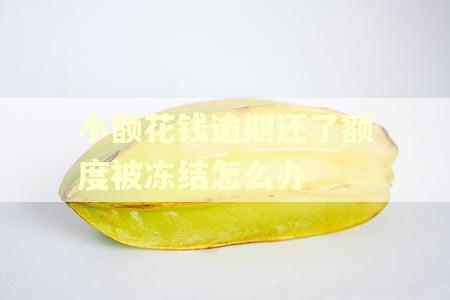 小额花钱逾期还了额度被冻结怎么办