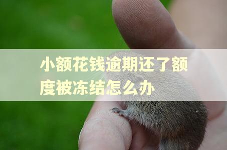 小额花钱逾期还了额度被冻结怎么办 小额花钱逾期还了额度被冻结怎么办