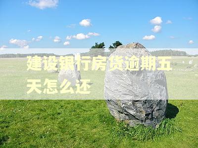建设银行房货逾期五天怎么还