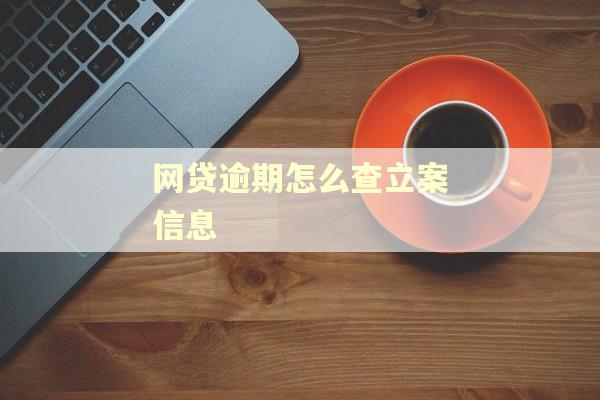 网贷逾期怎么查立案信息 网贷逾期怎么查立案信息