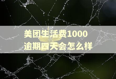 美团生活费1000逾期四天会怎么样
