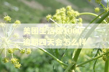 美团生活费1000逾期四天会怎么样 美团生活费1000逾期四天会怎么样