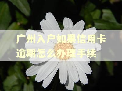 广州入户如果信用卡逾期怎么办理手续