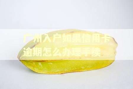 广州入户如果信用卡逾期怎么办理手续