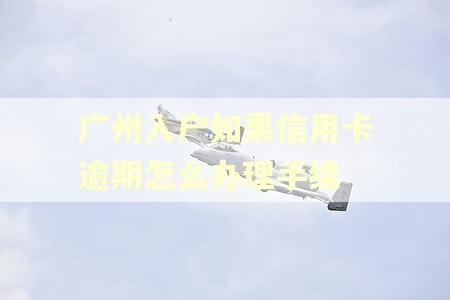 广州入户如果信用卡逾期怎么办理手续 广州入户如果信用卡逾期怎么办理手续