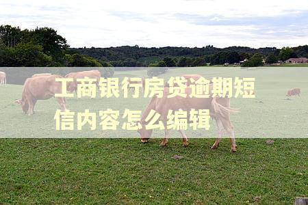 工商银行房贷逾期短信内容怎么编辑