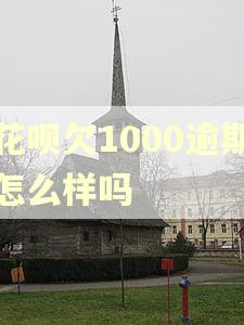 花呗欠1000逾期怎么样吗