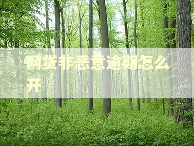 网贷非恶意逾期怎么开