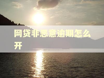 网贷非恶意逾期怎么开