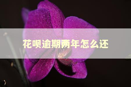 花呗逾期两年怎么还