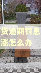 微粒贷逾期罚息一天一天涨怎么办