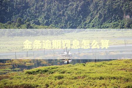 金条逾期罚息怎么算
