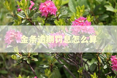 金条逾期罚息怎么算